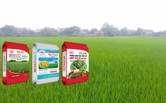 Vụ đông - Thời điểm vàng để cải tạo đất với phân lân Văn Điển