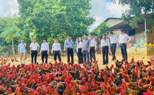 Tân Khánh (Thái Nguyên) đảm bảo an sinh xã hội hướng đến “không ai bị bỏ lại phía sau”