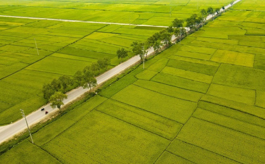 Công trình nông nghiệp Điện Biên: Quản lý dự án gắn với vùng sản xuất