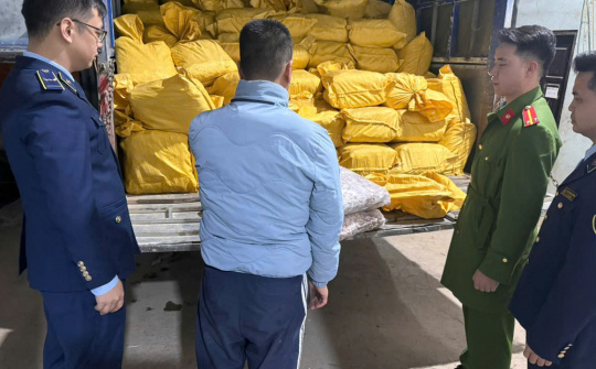 Phát hiện, tạm giữ gần 12 tấn chân gà đông lạnh không rõ nguồn gốc tại Cao Bằng