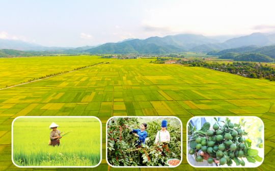 Khoa học và công nghệ Điện Biên vào cuộc sau Đại hội XV: Đổi mới sáng tạo dẫn đường