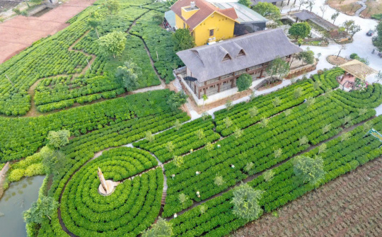 Tân Cương (Thái Nguyên): Phấn đấu trở thành trung tâm du lịch sinh thái gắn với vùng chè vào năm 2030