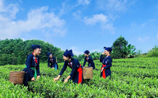 Thái Nguyên: Phát triển du lịch xanh, nâng cao sinh kế cộng đồng