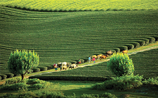 Quản lý điểm đến khu du lịch quốc gia Mộc Châu: thực trạng và giải pháp