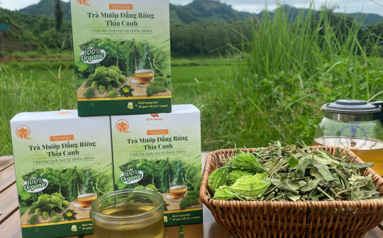 Thái Nguyên: Lan tỏa những mô hình kinh tế bền vững từ những hạt nhân điển hình.