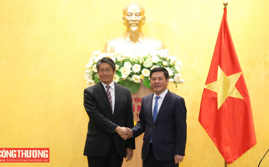 Việt Nam - Nhật Bản tích cực triển khai các hoạt động hợp tác liên quan đến điện khí LNG