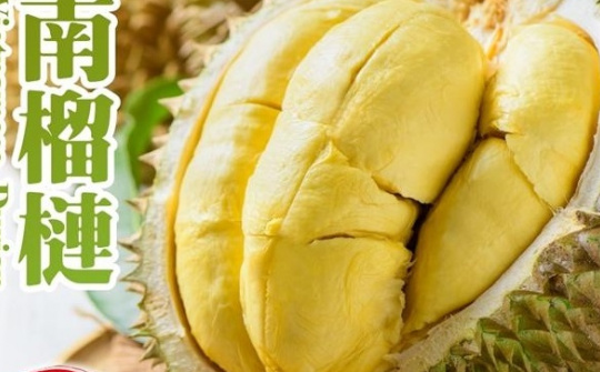 Đài Loan (Trung Quốc) gia hạn lệnh kiểm tra từng lô với sầu riêng tươi từ Việt Nam