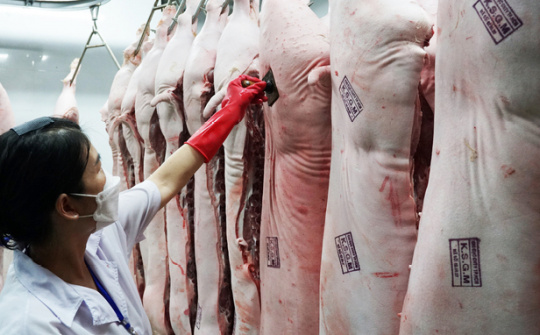 Đánh giá chính sách thu hút đầu tư vào cơ sở giết mổ động vật tập trung