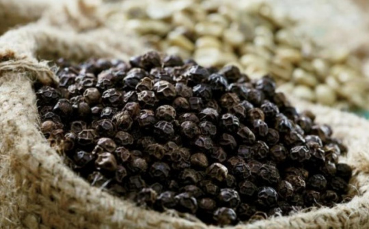 Giá tiêu hôm nay 18/2: Điều gì khiến giá tiêu Đắk Nông bất ngờ tăng vượt các nơi khác?