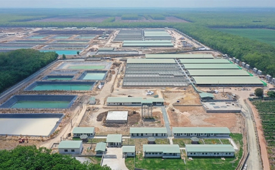 Lãnh đạo BaF Việt Nam (BAF) hé lộ lợi thế “người đi sau” giúp vượt mặt loạt ông lớn chăn nuôi - chế biến heo