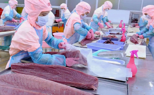 Xuất khẩu cá đóng hộp gặp khó, Thủy Đặc sản (SPV) thận trọng đặt mục tiêu kinh doanh