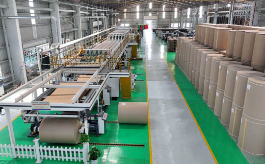 Kỳ vọng giá giấy tăng trở lại, Đông Hải Bến Tre (DHC) chốt tạm ứng cổ tức tiền mặt