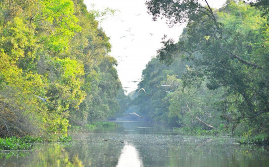 Tràm Chim có thể sẽ là mô hình đầu tiên về chi trả dịch vụ hệ sinh thái đất ngập nước, vận hành theo quy định của Nghị định 08/2022