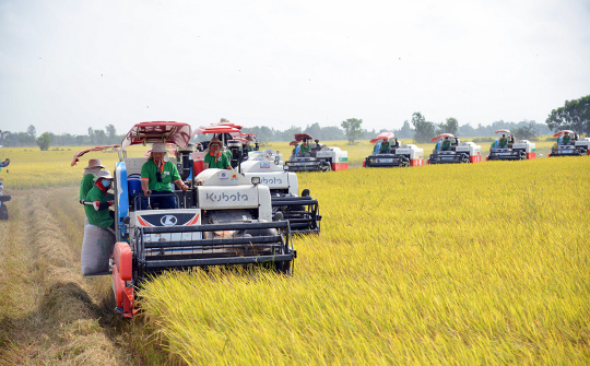Cơ chế điều chỉnh biên giới carbon (CBAM): Kinh nghiệm quốc tế và hàm ý chính sách cho Việt Nam