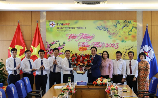 Truyền tải điện 3 ra quân đầu Xuân Ất Tỵ