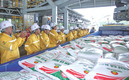 Đẩy mạnh đầu tư, Đạm Cà Mau (DCM) tăng cường năng lực xuất khẩu