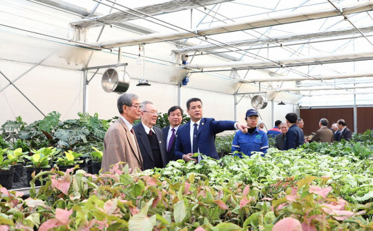 Sắp diễn ra Lễ hội Hoa - Sinh Vật Cảnh Supe Lâm Thao lần thứ Nhất - Xuân Ất Tỵ 2025