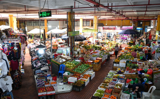 Ninh Bình: Thương mại dịch vụ tháng 1/2025 đạt mức tăng trưởng cao so với cùng kỳ năm trước