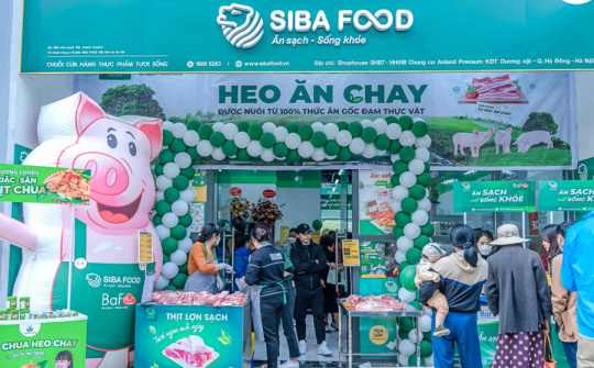 BaF Việt Nam (BAF): Lợi thế từ chuỗi chăn nuôi khép kín 3F, lãi năm 2024 tăng hơn 10 lần