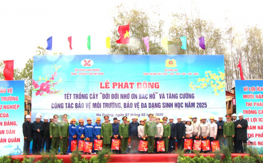 TKV dự kiến trồng trên 240ha cây xanh năm 2025