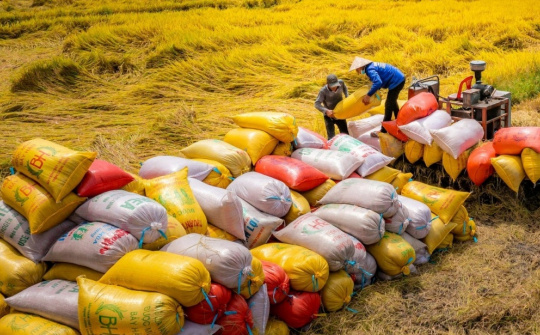 Bộ Công Thương lấy ý kiến Dự thảo Thông tư về kinh doanh xuất khẩu gạo