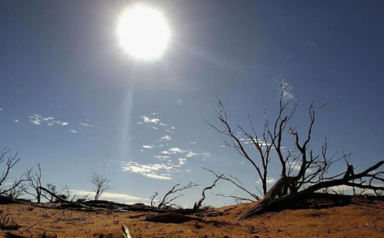 Tháng 1/2025 ghi nhận là tháng 1 có nhiệt độ cao nhất trong lịch sử