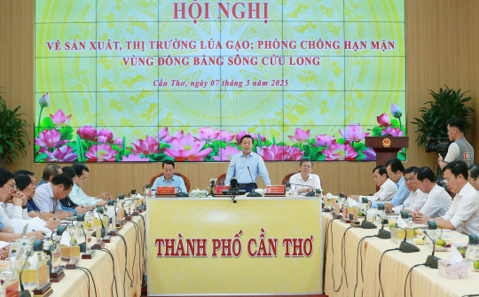 Theo dõi sát diễn biến thị trường gạo thế giới để có kế hoạch sản xuất, xuất khẩu phù hợp