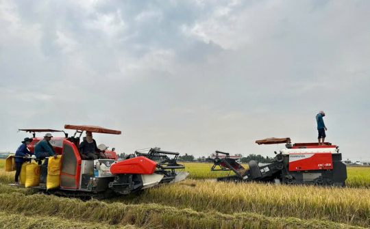 Agribank tăng cường hỗ trợ vốn, thúc đẩy phát triển ngành lúa gạo