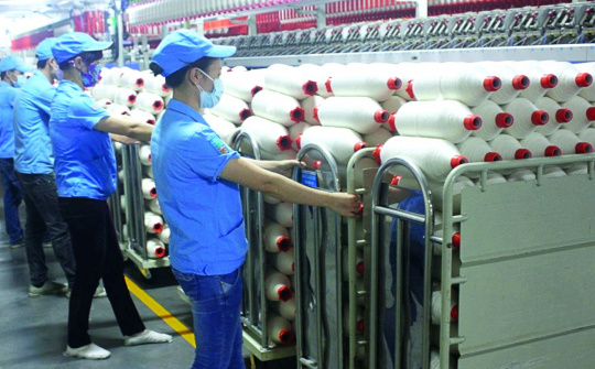 Sợi Thế Kỷ (STK) đặt kỳ vọng vào nhà máy mới, muốn trả cổ tức 45% bằng cổ phiếu