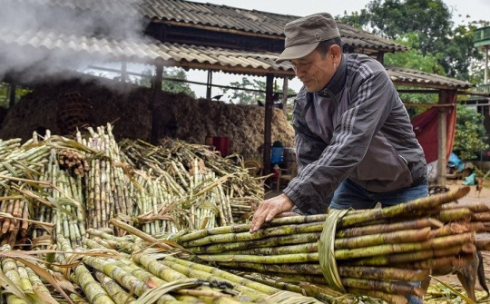Thêm 1 doanh nghiệp Indonesia bị áp thuế chống lẩn tránh mía đường xuất khẩu vào Việt Nam