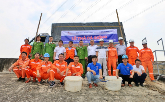 Thủy điện Trung Sơn: Thả cá giống, tái tạo nguồn lợi thủy sản lòng hồ