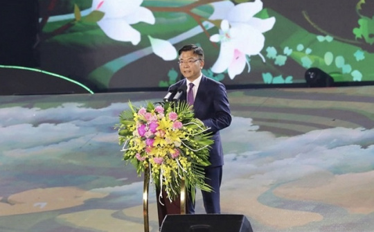 Khai mạc Lễ hội Hoa ban 2025 với chủ đề "Điện Biên-Sắc ban bừng sáng"