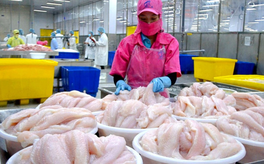 Giá cá tra lên cao nhất 3 năm, xuất khẩu của Thuỷ sản Vĩnh Hoàn (VHC) sang Mỹ tiếp tục tăng
