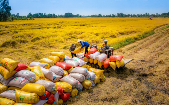 Bộ Công Thương thành lập Đoàn kiểm tra liên ngành việc kinh doanh, xuất khẩu gạo