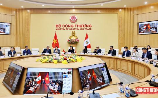 Việt Nam - Peru ưu tiên triển khai các biện pháp thúc đẩy trao đổi thương mại