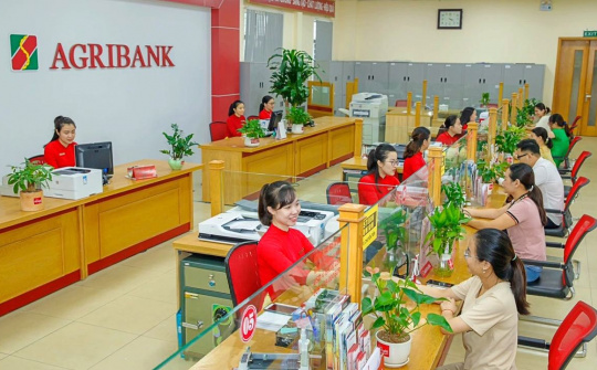 Ngân hàng Agribank: Lợi nhuận trước thuế năm 2024 vượt 1,1 tỷ USD
