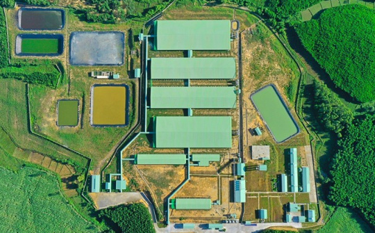BaF Việt Nam (BAF) chuẩn bị làm siêu tổ hợp chăn nuôi heo nhà tầng quy mô 1.550 ha