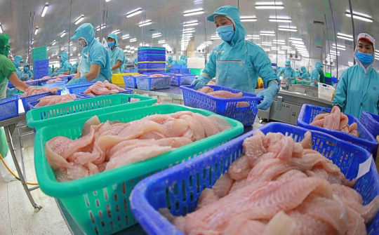 Xuất khẩu thuỷ sản 2025: Tận dụng cơ hội, khắc phục thách thức