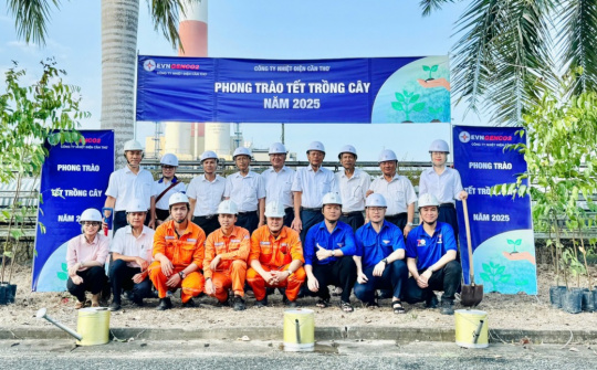 Nhiệt điện Cần Thơ hoàn thành kế hoạch trồng 500 cây xanh giai đoạn 2021- 2025
