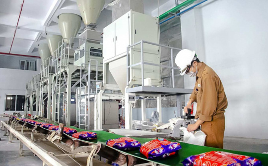 Hoá chất Đức Giang (DGC) muốn chi gần 1.300 tỷ đồng làm loạt dự án, chia cổ tức 30%