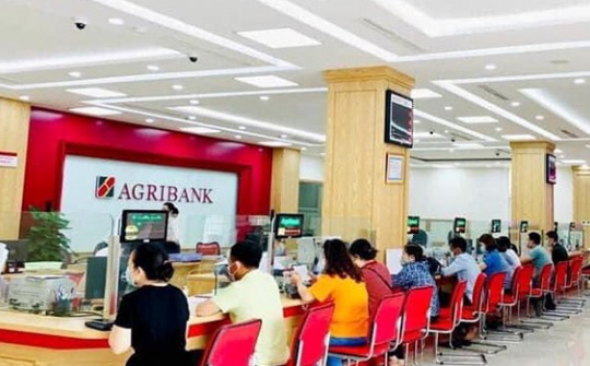 Quản trị rủi ro tín dụng trong cho vay khách hàng cá nhân tại Ngân hàng Nông nghiệp và Phát triển nông thôn Việt Nam - Chi nhánh huyện Tuy Phong, tỉnh Bình Thuận