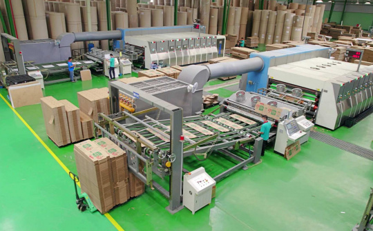 Dự báo thị trường tăng trưởng cao, Đông Hải Bến Tre (DHC) sắp làm nhà máy giấy quy mô 390.000 tấn/năm