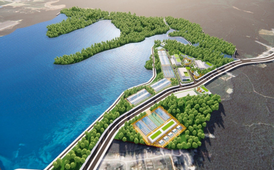 Phê duyệt Quy hoạch khu lâm nghiệp ứng dụng công nghệ cao vùng Bắc Trung Bộ