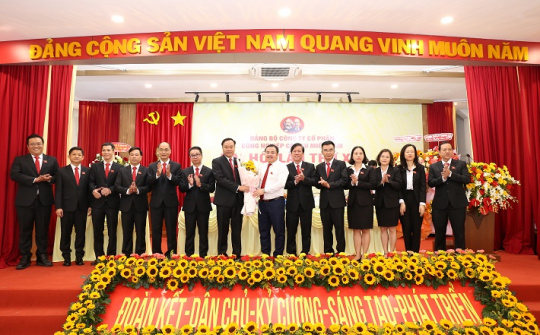 Xây dựng Đảng vững mạnh, kiến tạo thương hiệu Casumina thời kỳ hội nhập xanh