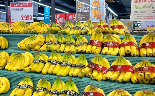 Xuất khẩu chuối tăng trưởng tích cực, Hoàng Anh Gia Lai (HAG) báo lãi quý 1 tăng 59%