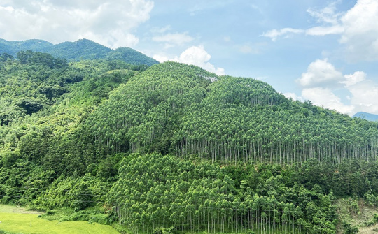 Thúc đẩy chi trả dịch vụ môi trường rừng nhằm hấp thụ và lưu giữ các-bon - góc nhìn từ pháp luật quốc tế, pháp luật một số quốc gia và kiến nghị cho Việt Nam