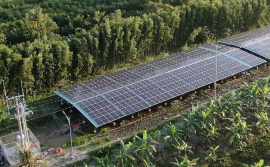 Khẩn trương giải quyết vướng mắc về đất nông lâm nghiệp của điện mặt trời mái nhà