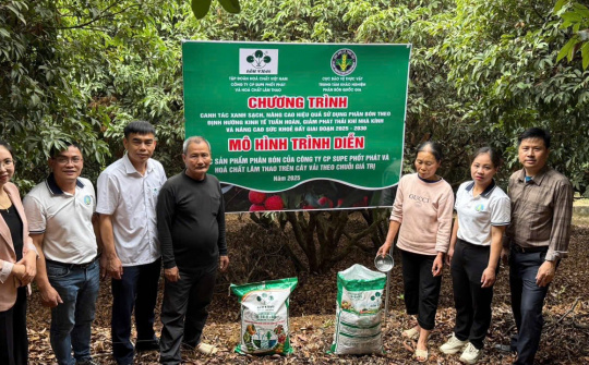 Supe Lâm Thao trình diễn phân bón vi sinh Lâm Thao NPK-S cho cây vải và cây nhãn tại Bắc Giang