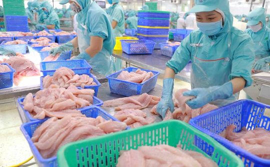 Thuỷ sản Nam Việt (ANV): Đơn hàng làm không kịp, lãi quý 1 tăng gấp 8 lần