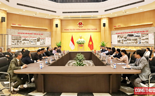 Việt Nam - Indonesia: Thúc đẩy hợp tác kinh tế, thương mại và công nghiệp trước những thách thức toàn cầu